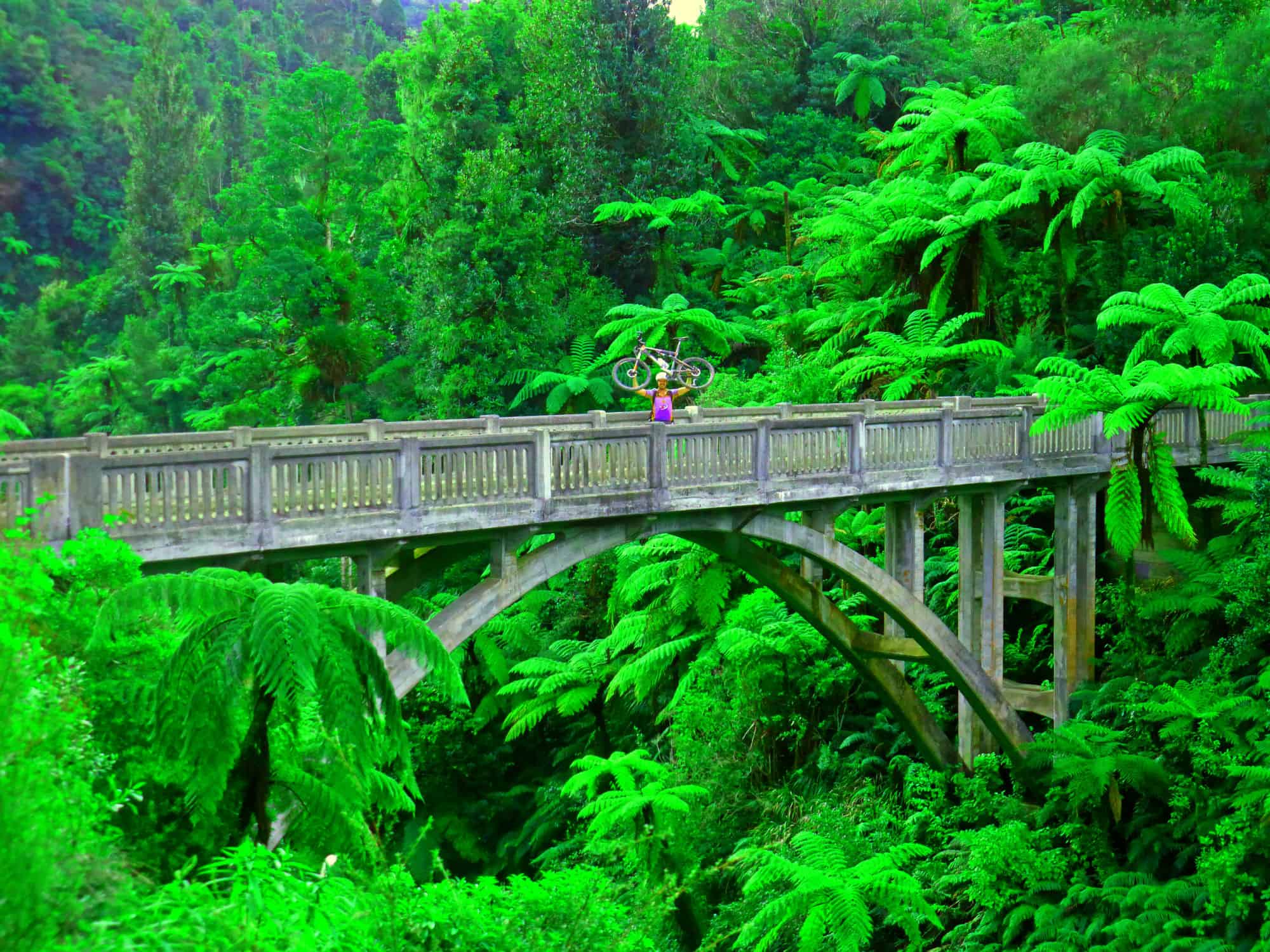 Bridge to Nowhere view