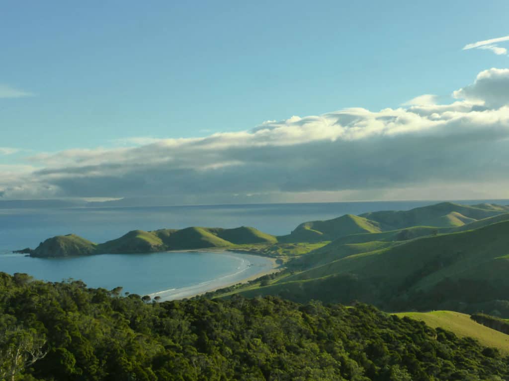 Port Jackson Bay, Coromandel