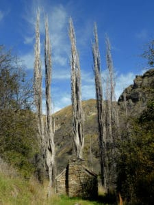 Hut on Skippers Canyon trail