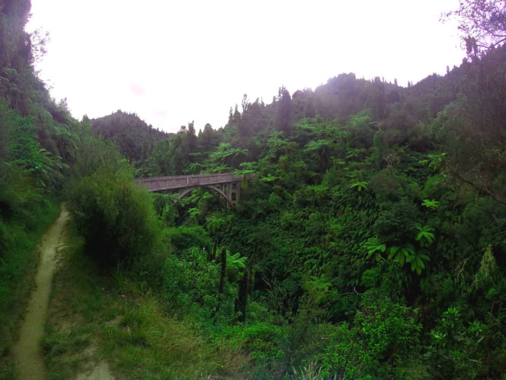 Taking in the Bridge to Nowhere from along the track