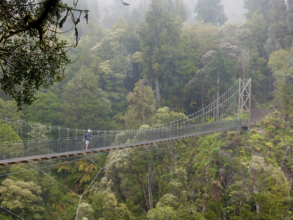 Timber Trail suspension bridge