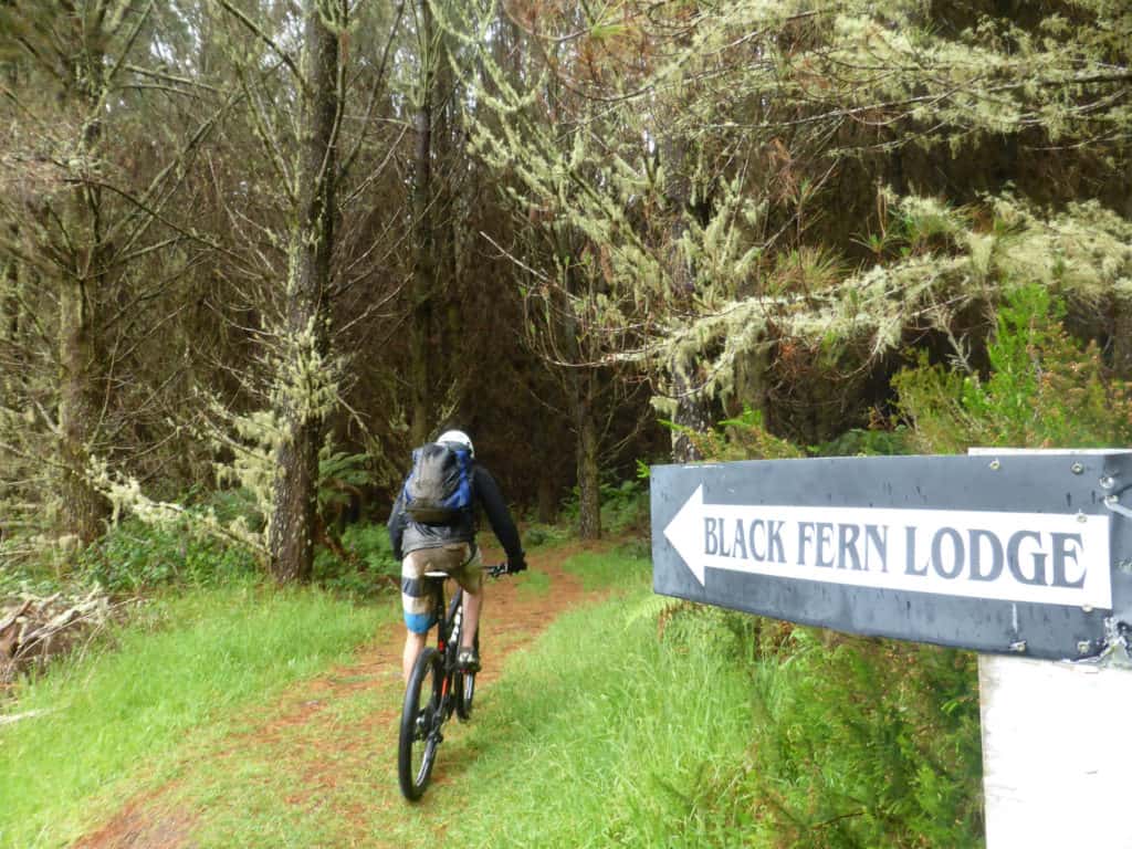 Timber Trail route to Black Fern Lodge