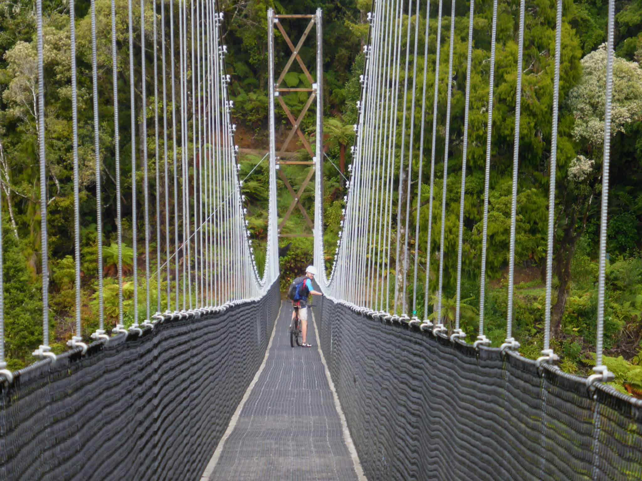 Maramataha Suspension Bridge on the Timber Trail