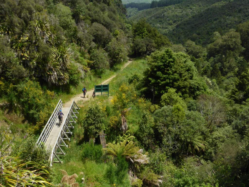 View from Ongarue Spiral Timber Trail