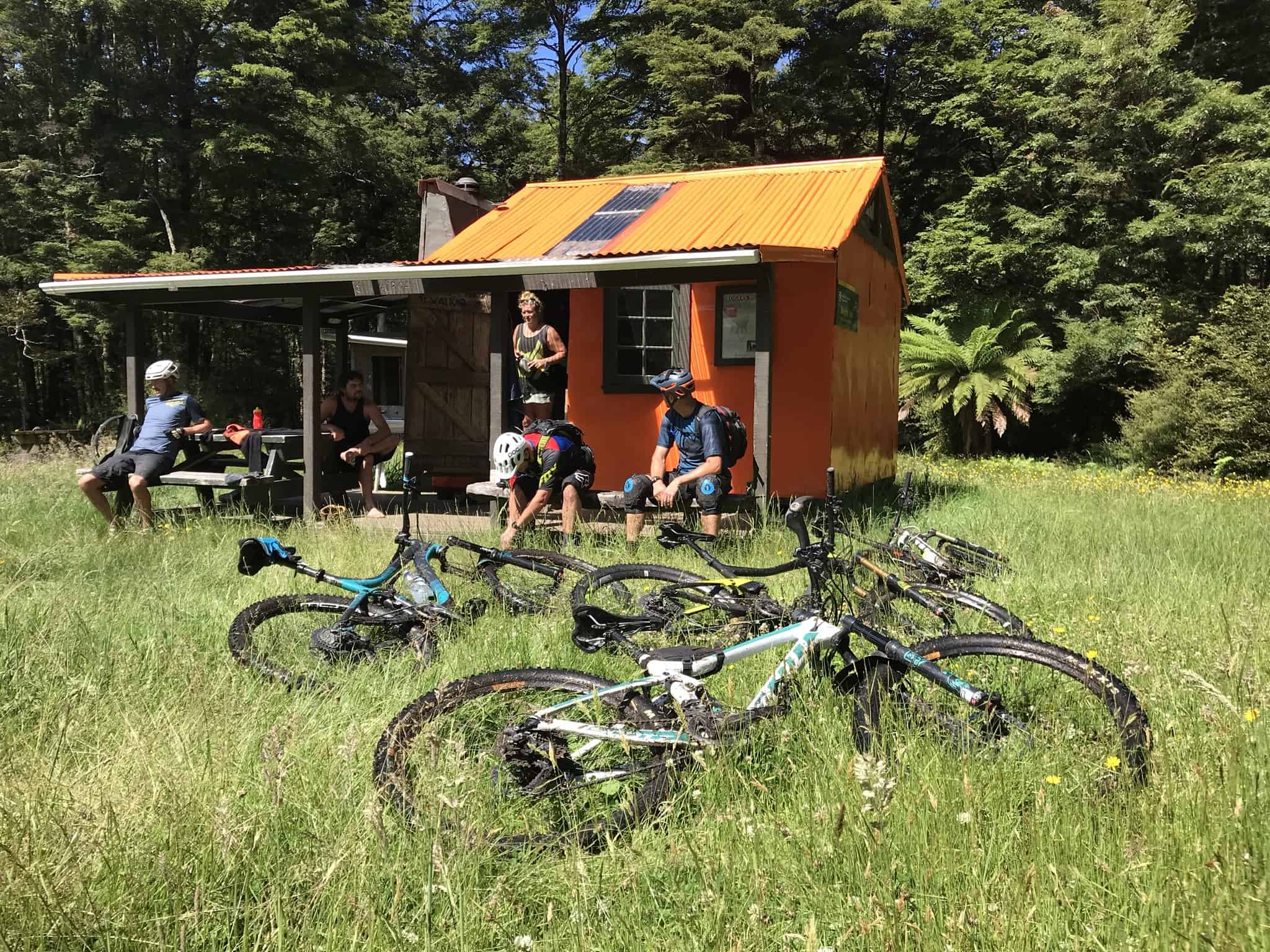 Moerangi Track Rogers Hut