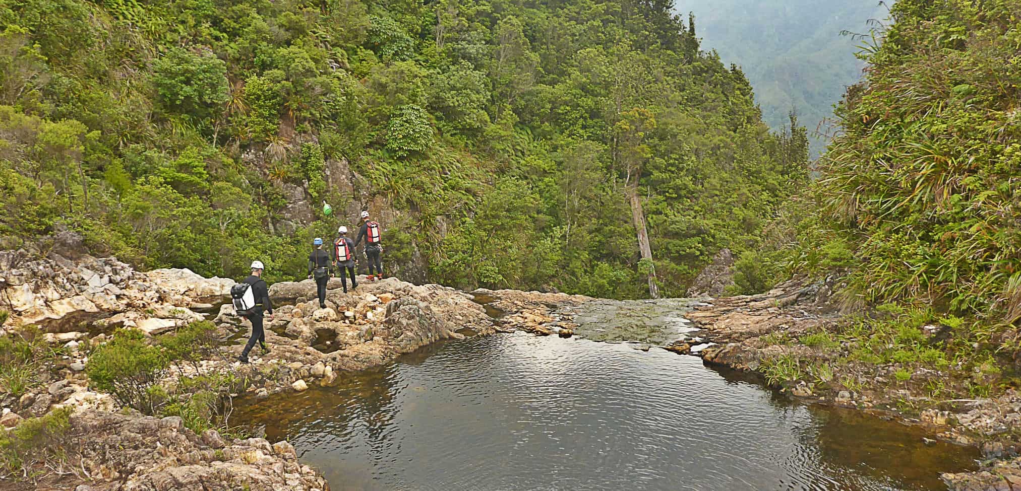 Canyoning Coromandel Style