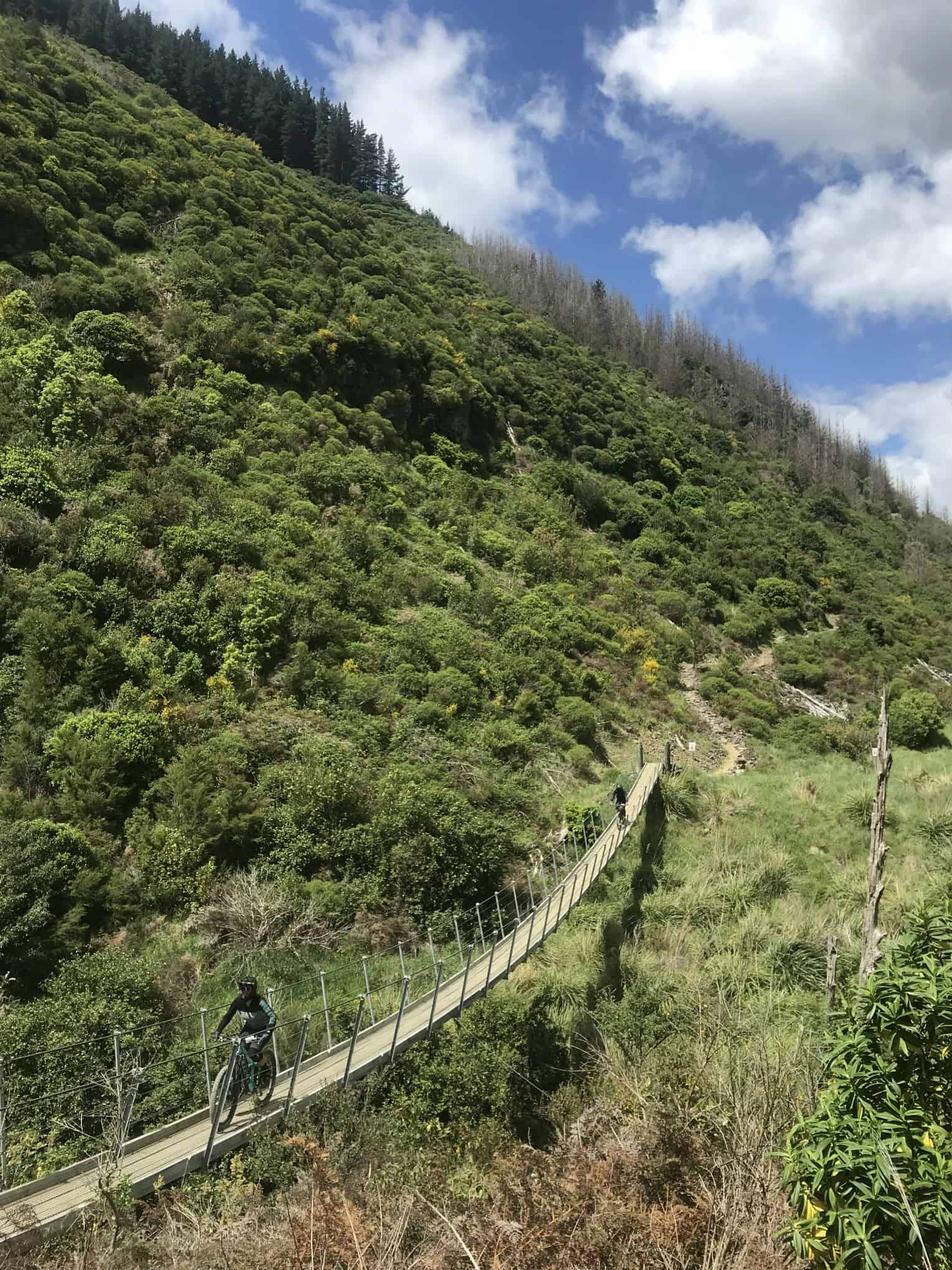 Riders going over swing bridge Wairoa Gorg