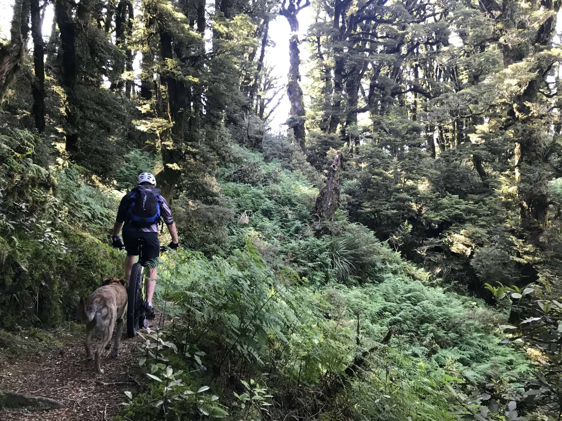 Te Iringa Mountain Biking