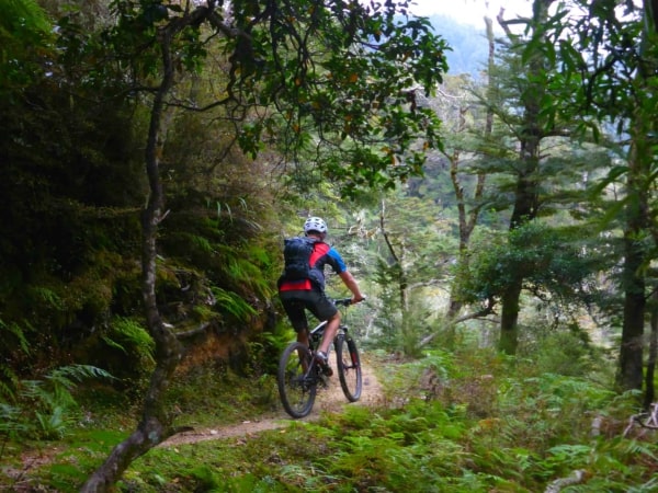 North Island Mountain Bike Package